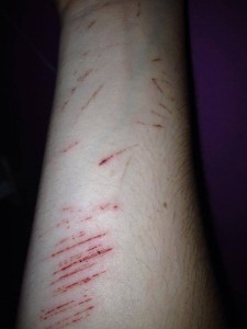 1533176_442311615896232_691427291_n