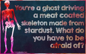 You're a ghost driving a meat coated skeleton made of stardust. What do you have to be afraid of?